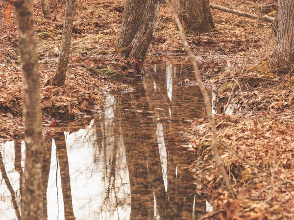 1555 Palmer Firetower Road , Palmer, TN 37365