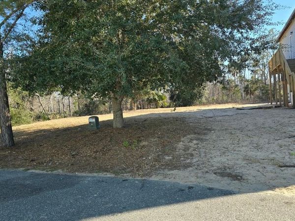 TBD SW 294th Ave, Steinhatchee, FL 32359