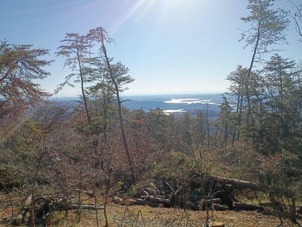 342 Wallen Lane, Bean Station, TN 37708