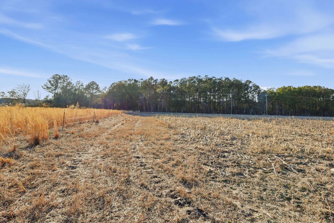 Tbd Black Creek Rd. Photo 10