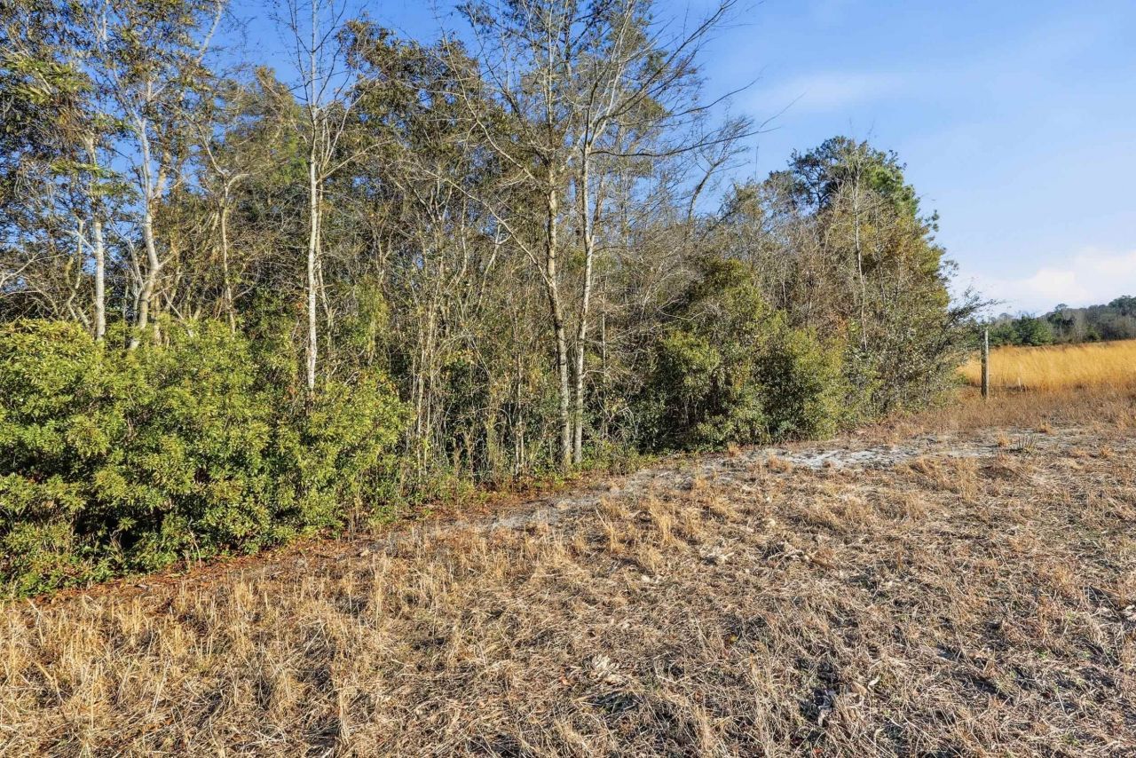Tbd Black Creek Rd. Photo 11