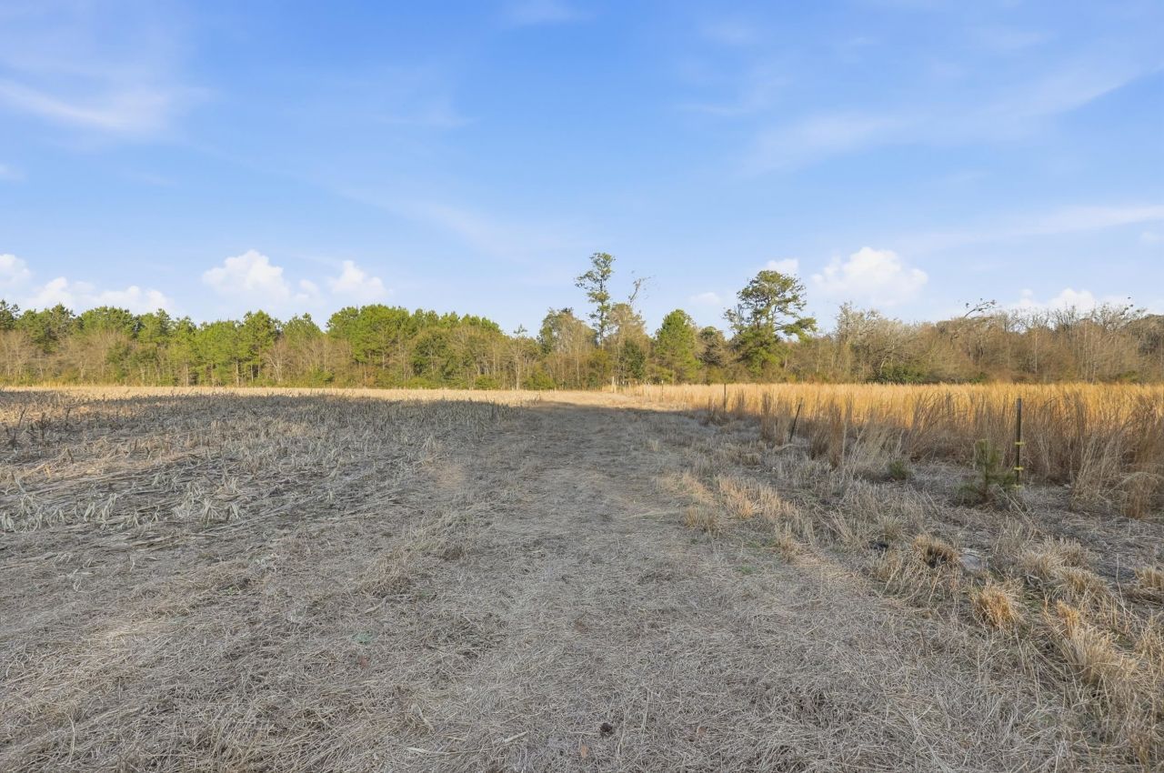 Tbd Black Creek Rd. Photo 12