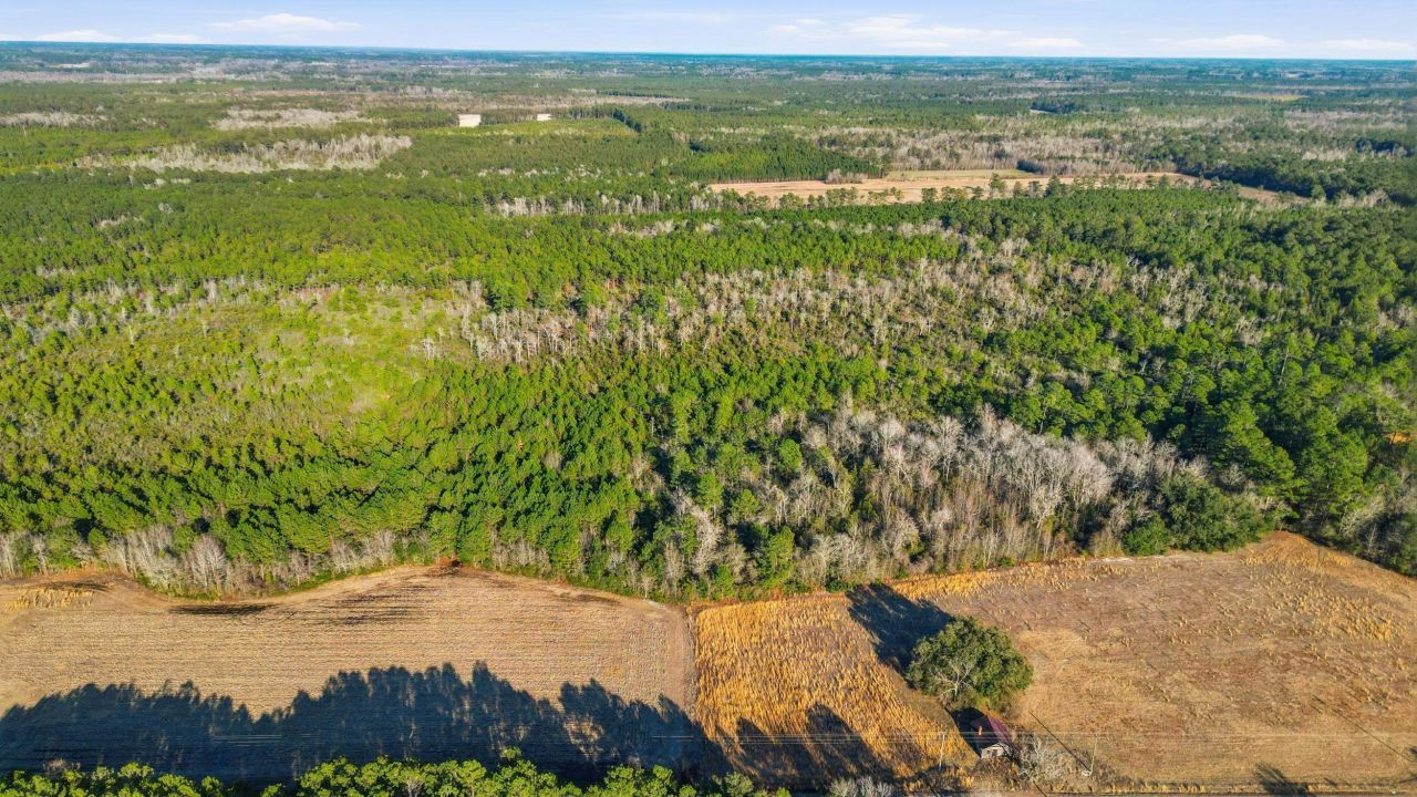 Tbd Black Creek Rd. Photo 14