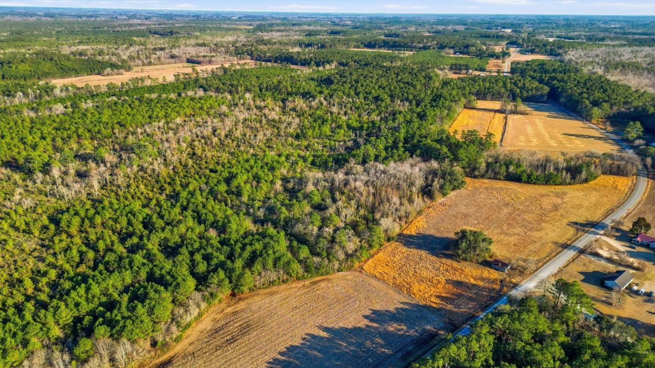 Tbd Black Creek Rd. Photo 15