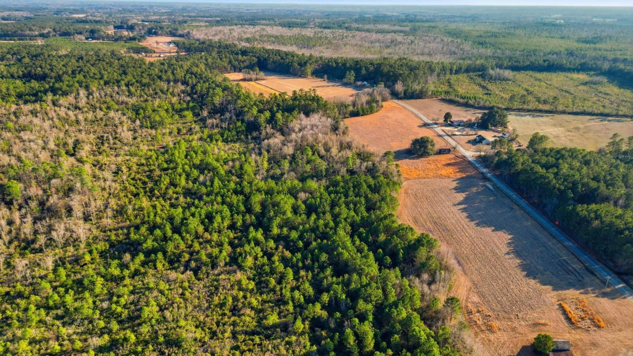 Tbd Black Creek Rd. Photo 17