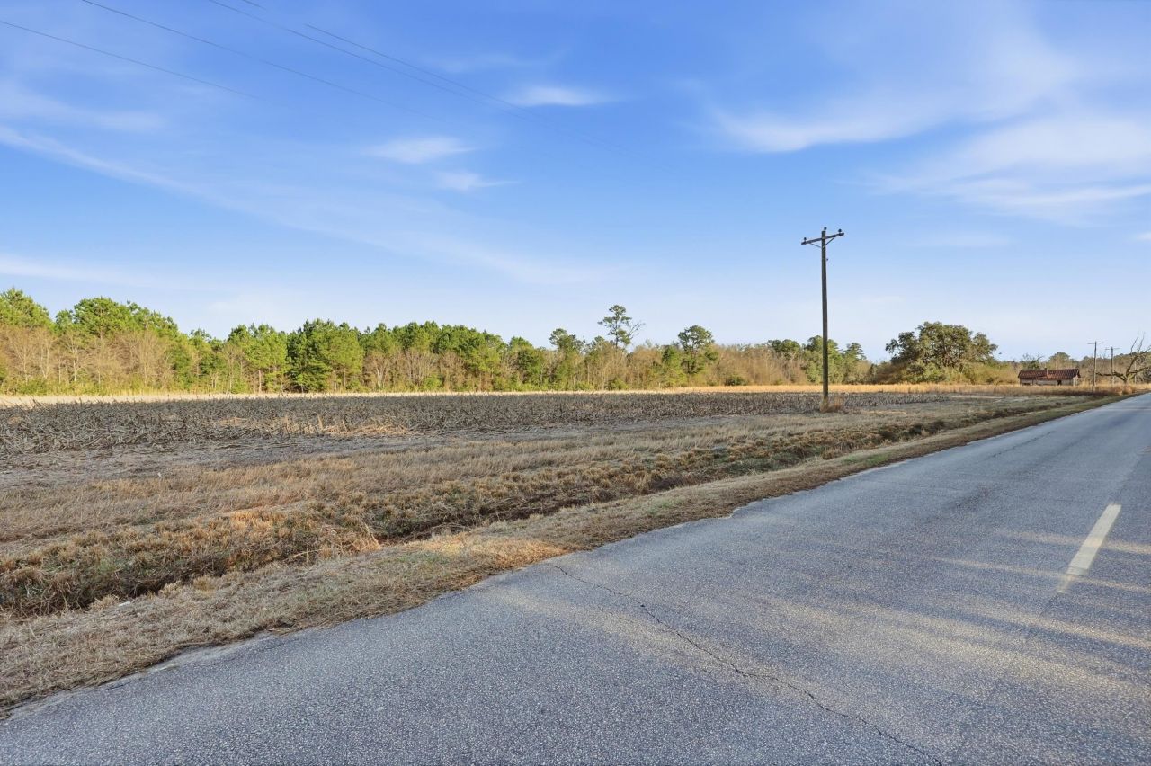 Tbd Black Creek Rd. Photo 4