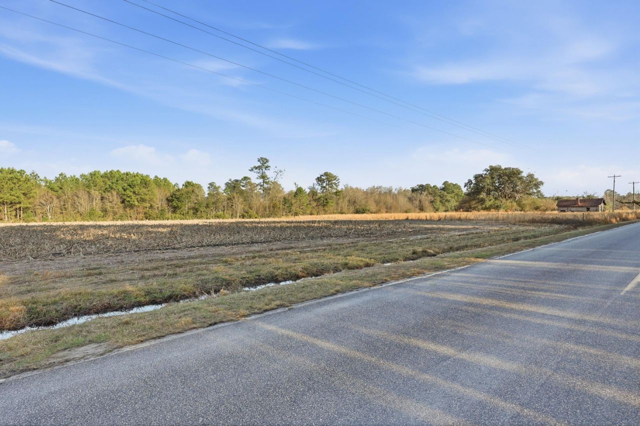 Tbd Black Creek Rd. Photo 5
