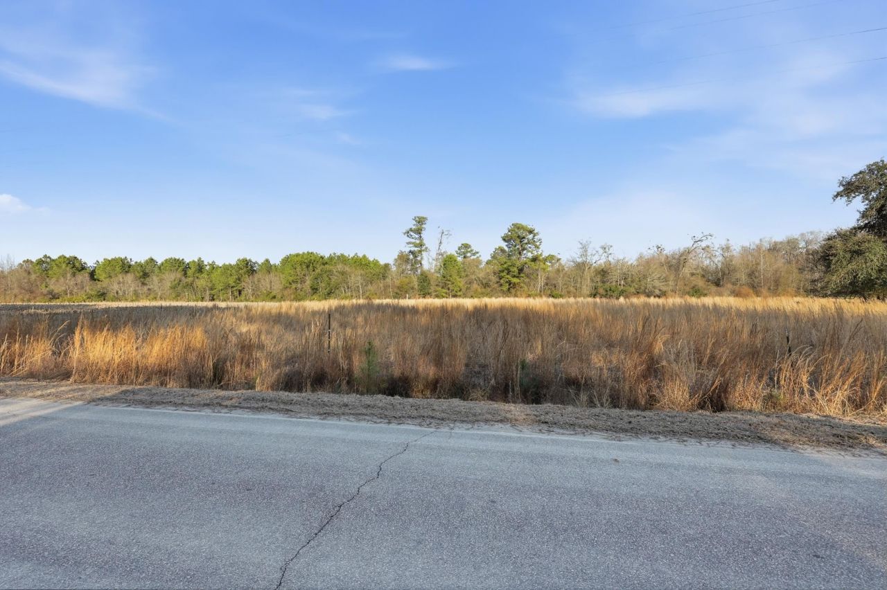 Tbd Black Creek Rd. Photo 7