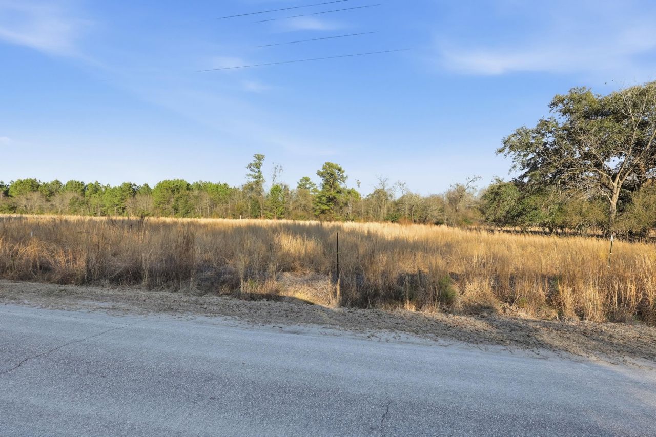 Tbd Black Creek Rd. Photo 8