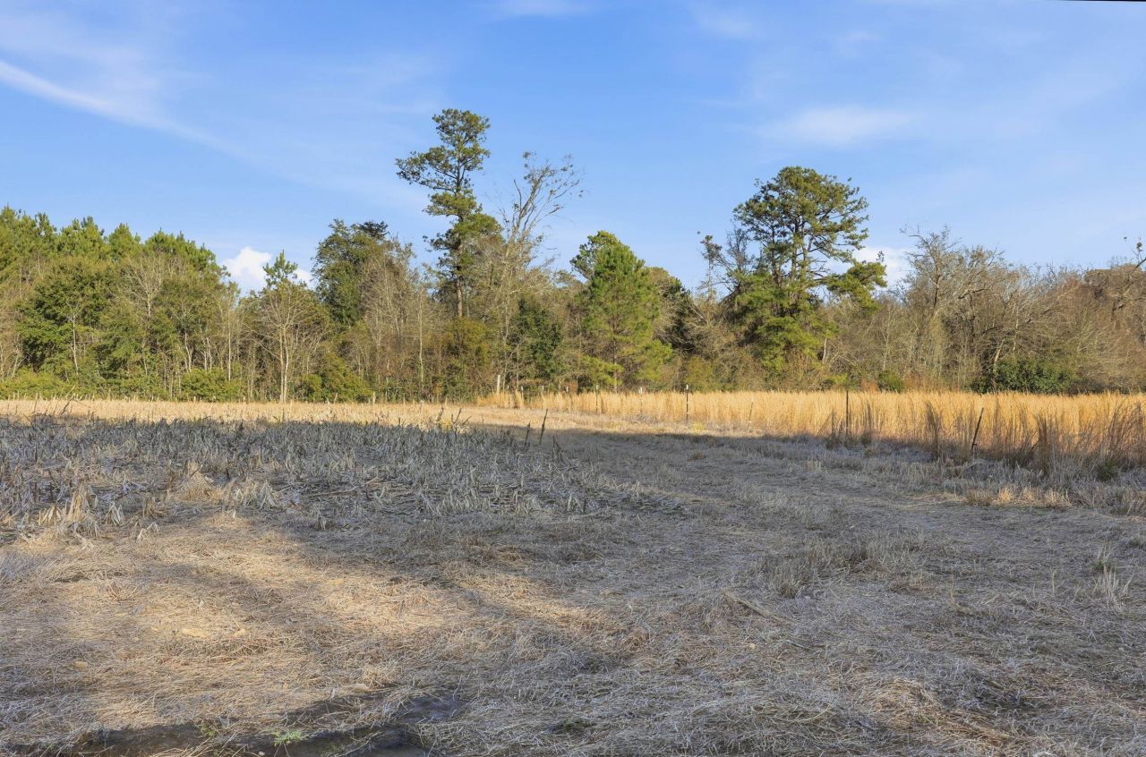 Tbd Black Creek Rd. Photo 9