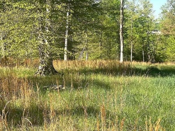 Nixon Road, Columbia, KY 42728