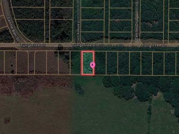 00 Tung Tree Drive, Lumberton, MS 39455