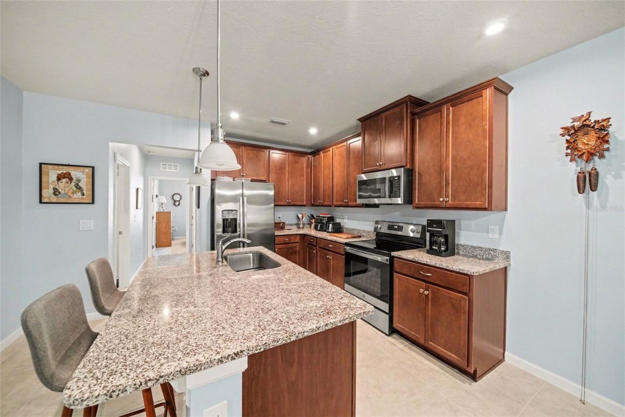 18088 Turning Leaf Circle, Land O Lakes, FL 34638 Photo
