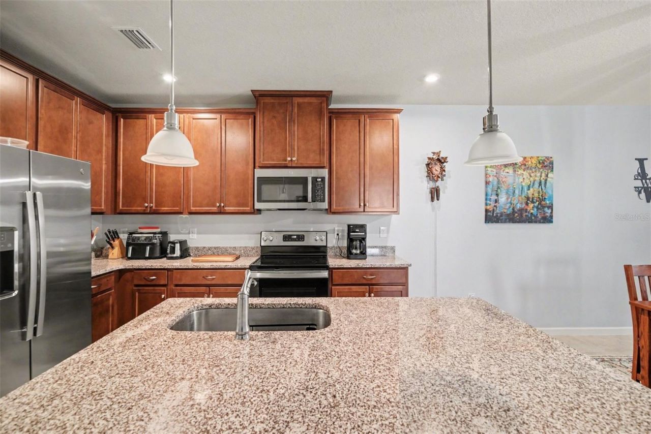 18088 Turning Leaf Circle, Land O Lakes, FL 34638 Photo