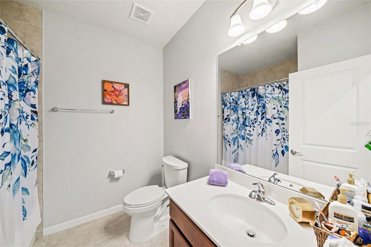 18088 Turning Leaf Circle, Land O Lakes, FL 34638 Photo