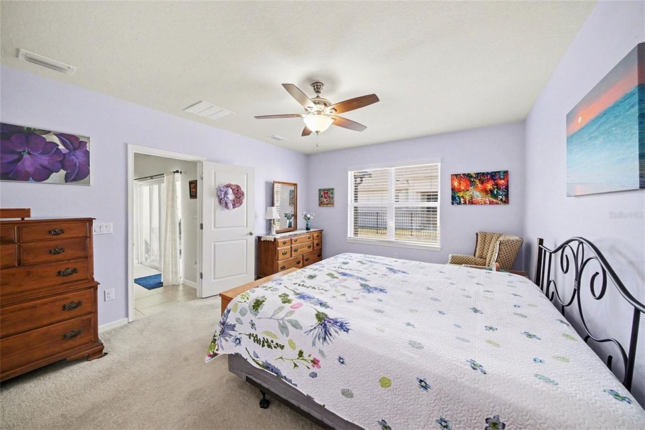 18088 Turning Leaf Circle, Land O Lakes, FL 34638 Photo
