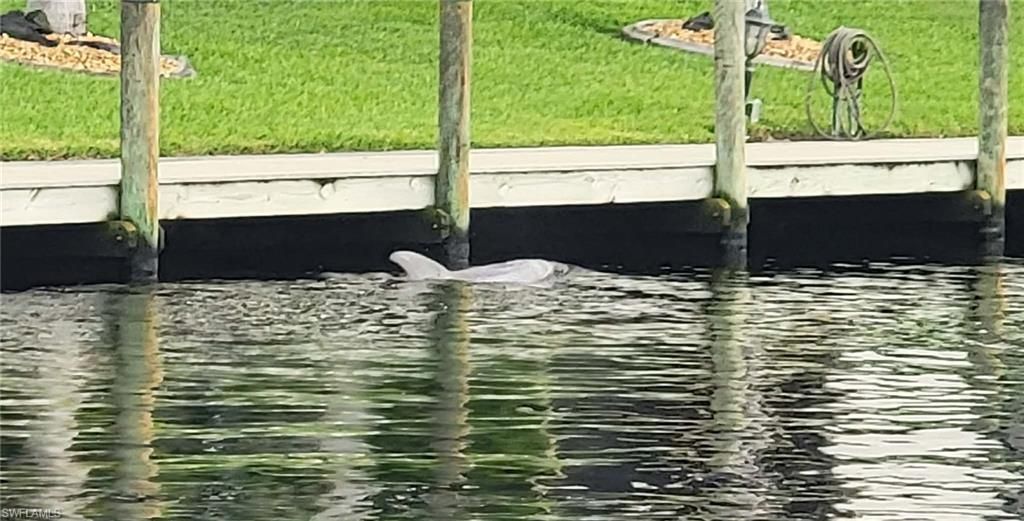 108 SE 47th St, Unit 102, Cape Coral, FL 33904 Photo