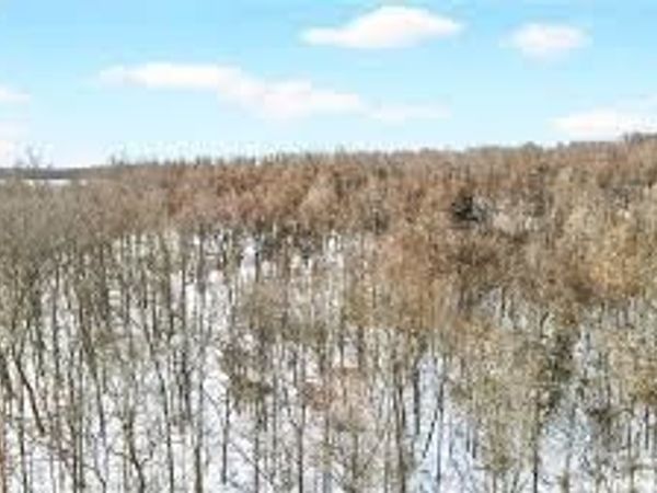 407 Ridgemont Drive, Industry, PA 15052