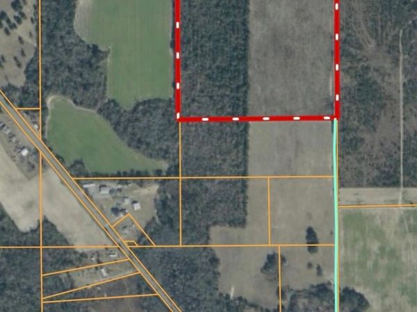 0 Peanut Road, Cottondale, FL 32431