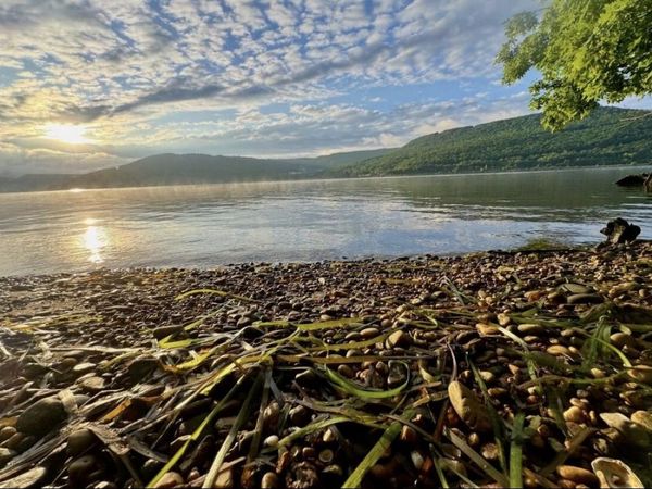 0 Admiral Court, Jasper, TN 37347