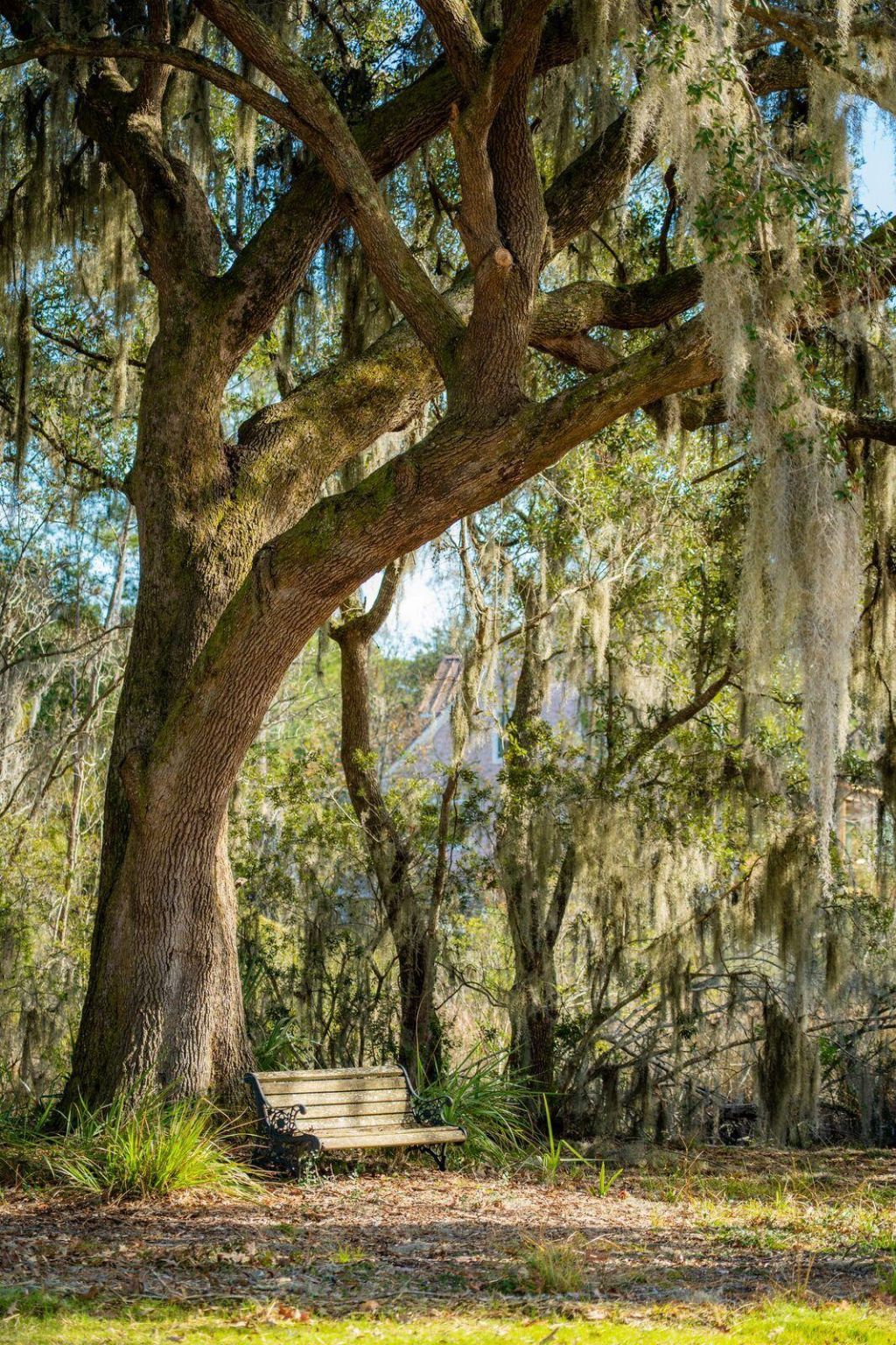 3887 Moss Pointe Court Photo 76