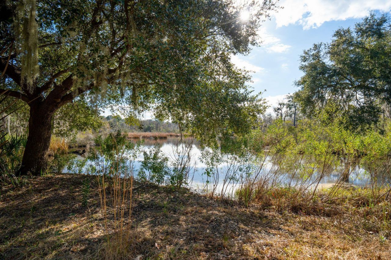 3887 Moss Pointe Court Photo 81