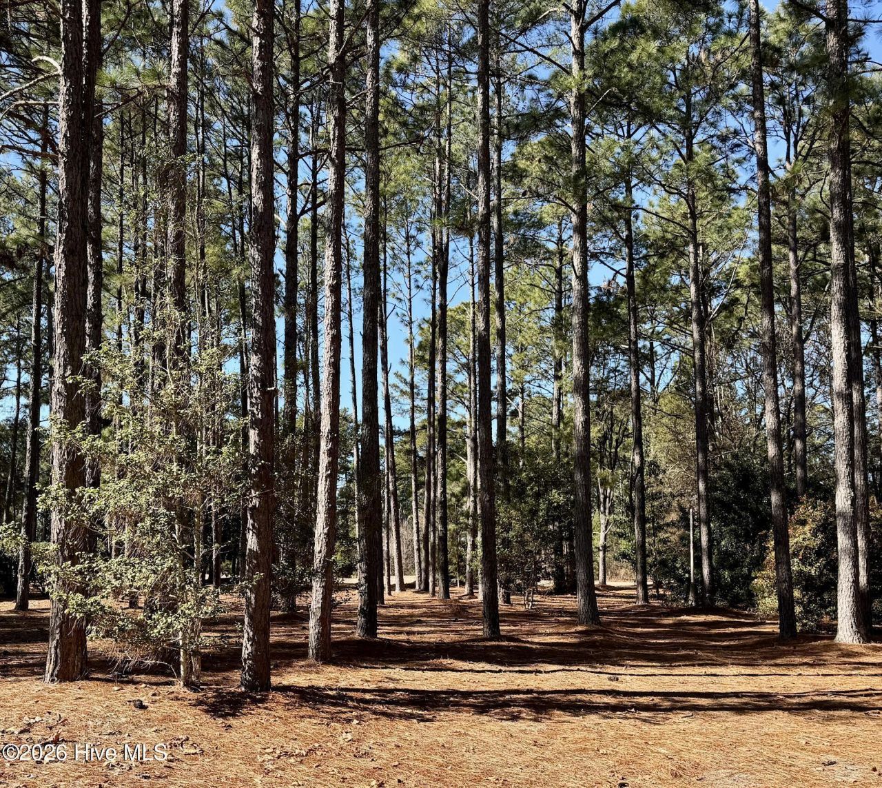 195 Erfie Drive N, Pinebluff, NC 28373 Main Photo