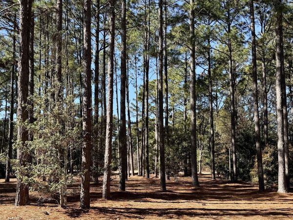 195 Erfie Drive N, Pinebluff, NC 28373