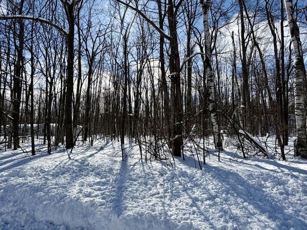 L 683-684 Cedarhurst Drive, Cheboygan, MI 49721