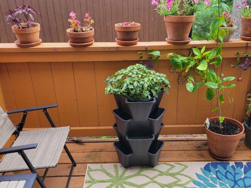 4784 Crazy Horse Lane, Unit 1, Westerville, OH 43081 Photo 54