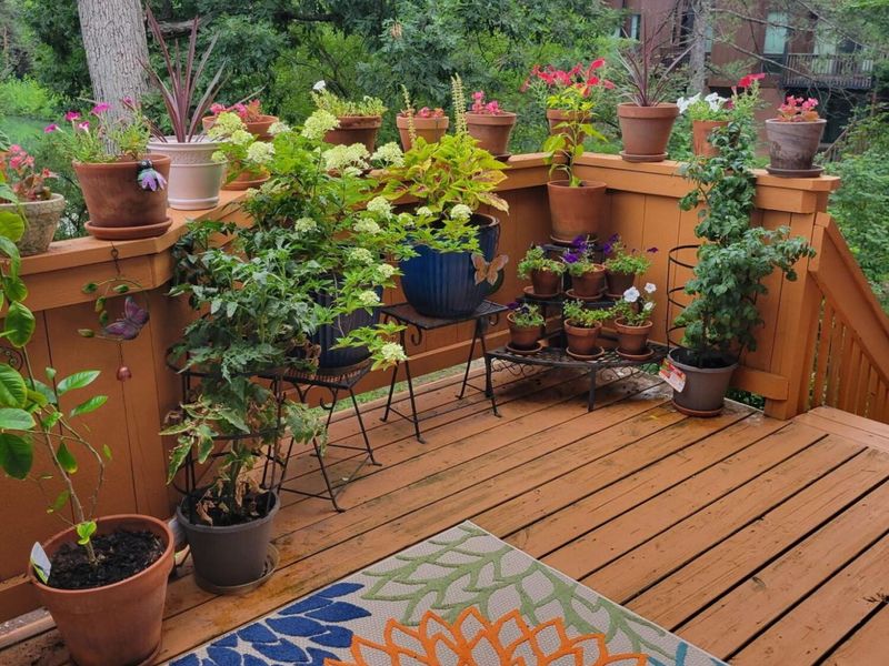 4784 Crazy Horse Lane, Unit 1, Westerville, OH 43081 Photo 55