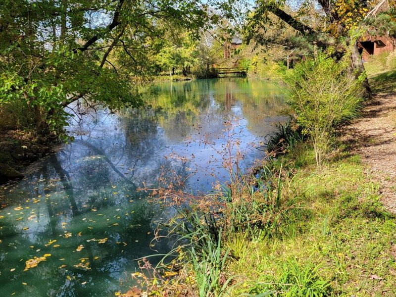 4784 Crazy Horse Lane, Unit 1, Westerville, OH 43081 Photo 57