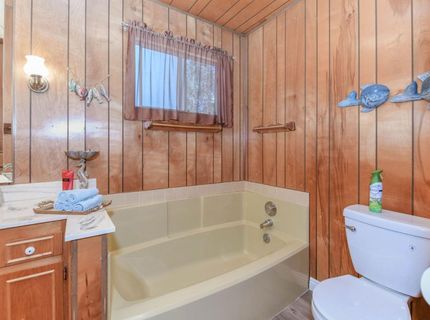 25215 Sugar Pine Dr, Pioneer, CA 95666 Photo