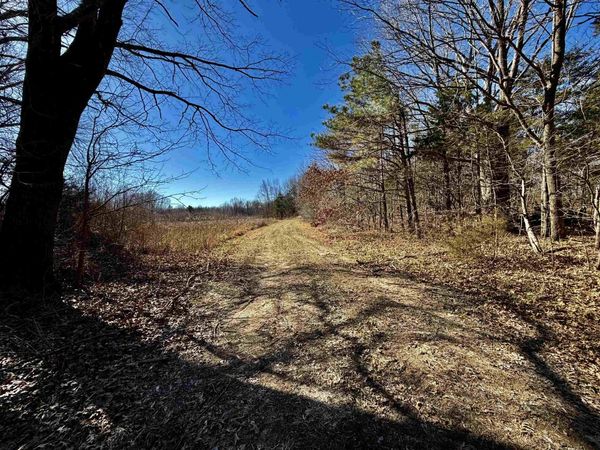 40.29 AC OLD BROWNSVILLE RD, Somerville, TN 38068