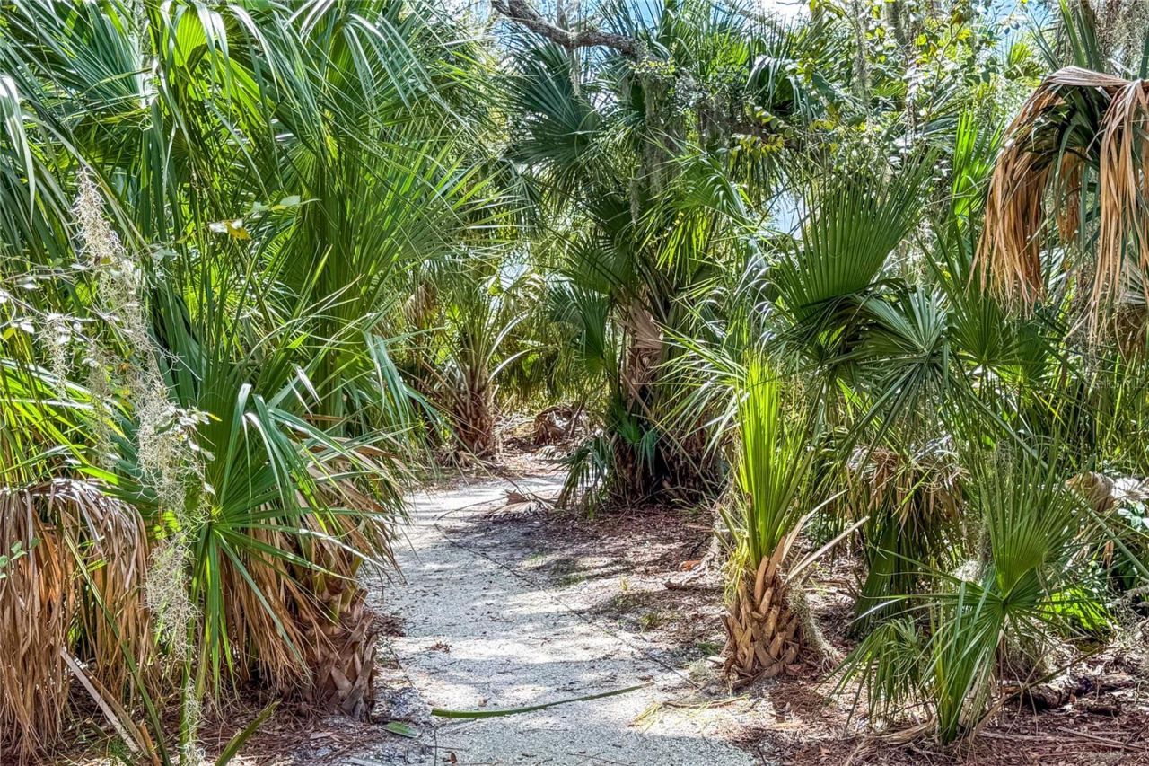 10170 Daybreak Glen, Parrish, FL 34219 Photo