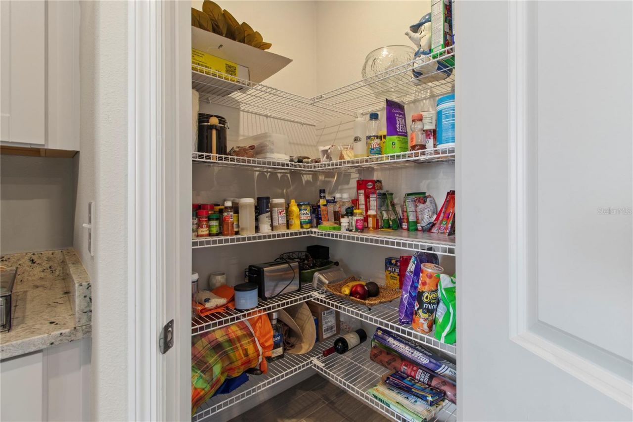 10170 Daybreak Glen, Parrish, FL 34219 Photo