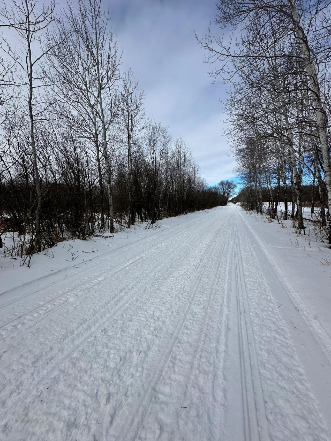 Tbd Co Rd 66 Ne, Miltona, MN 56446 Main Photo