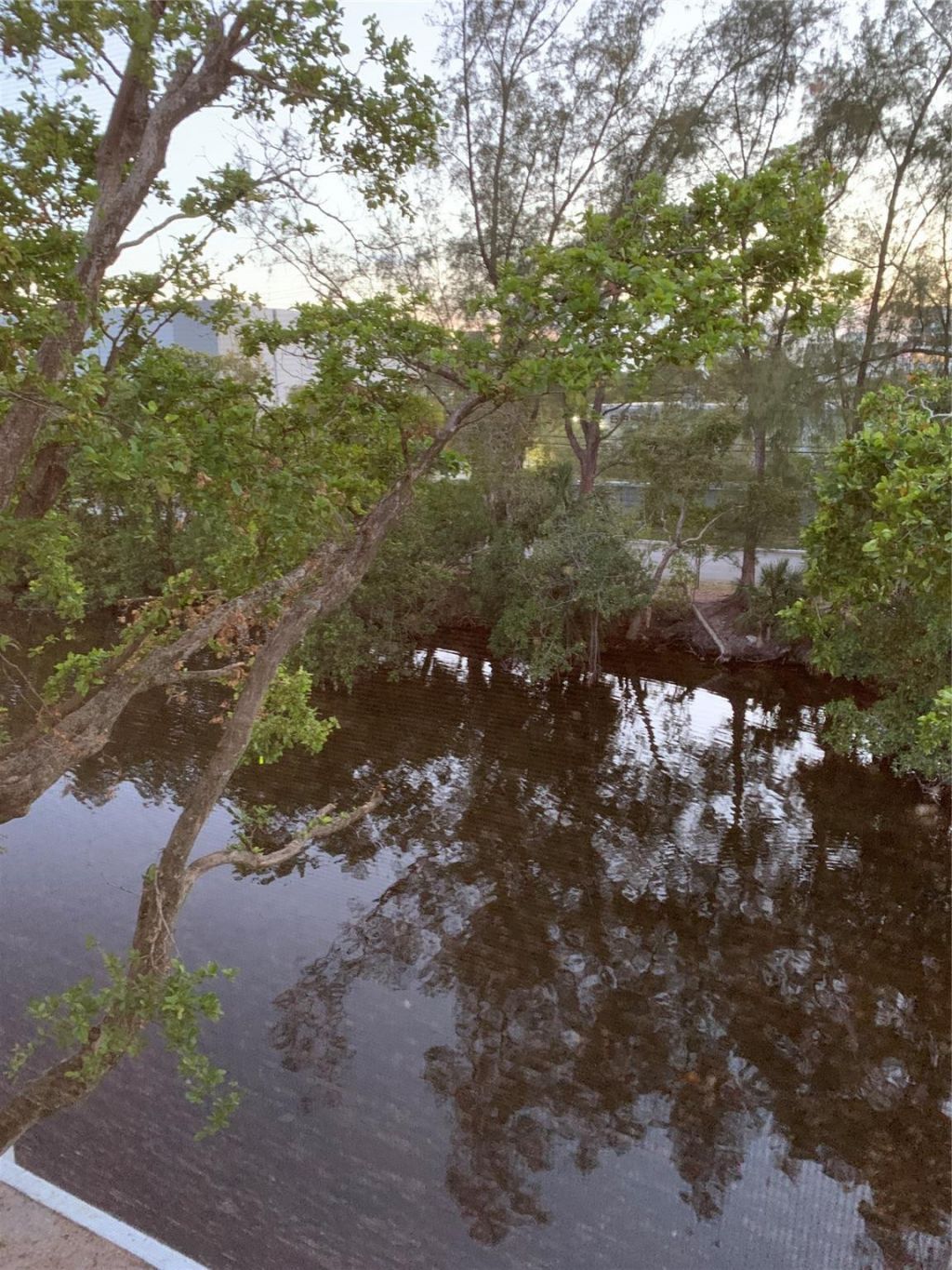 1400 NE 57th Street, Unit 302, Fort Lauderdale, FL 33334 Photo