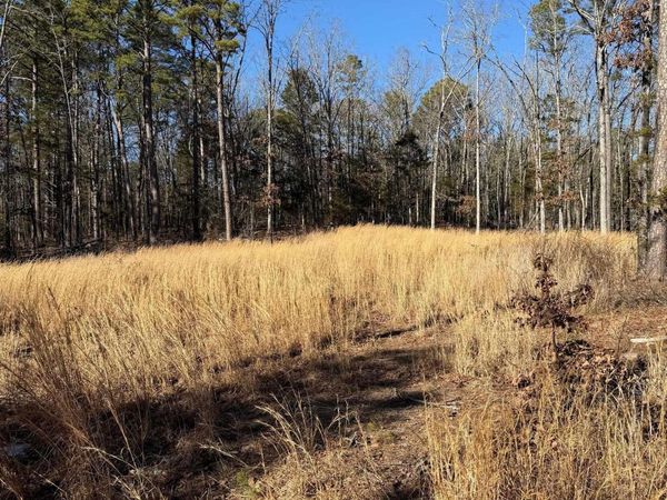 558 Pebble Drive, Clinton, AR 72031
