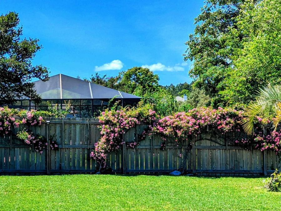 Property Image 87
