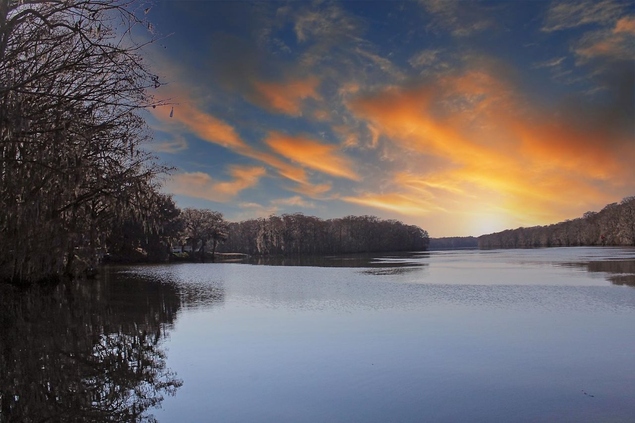 1950 Wachesaw Rd. Photo 18