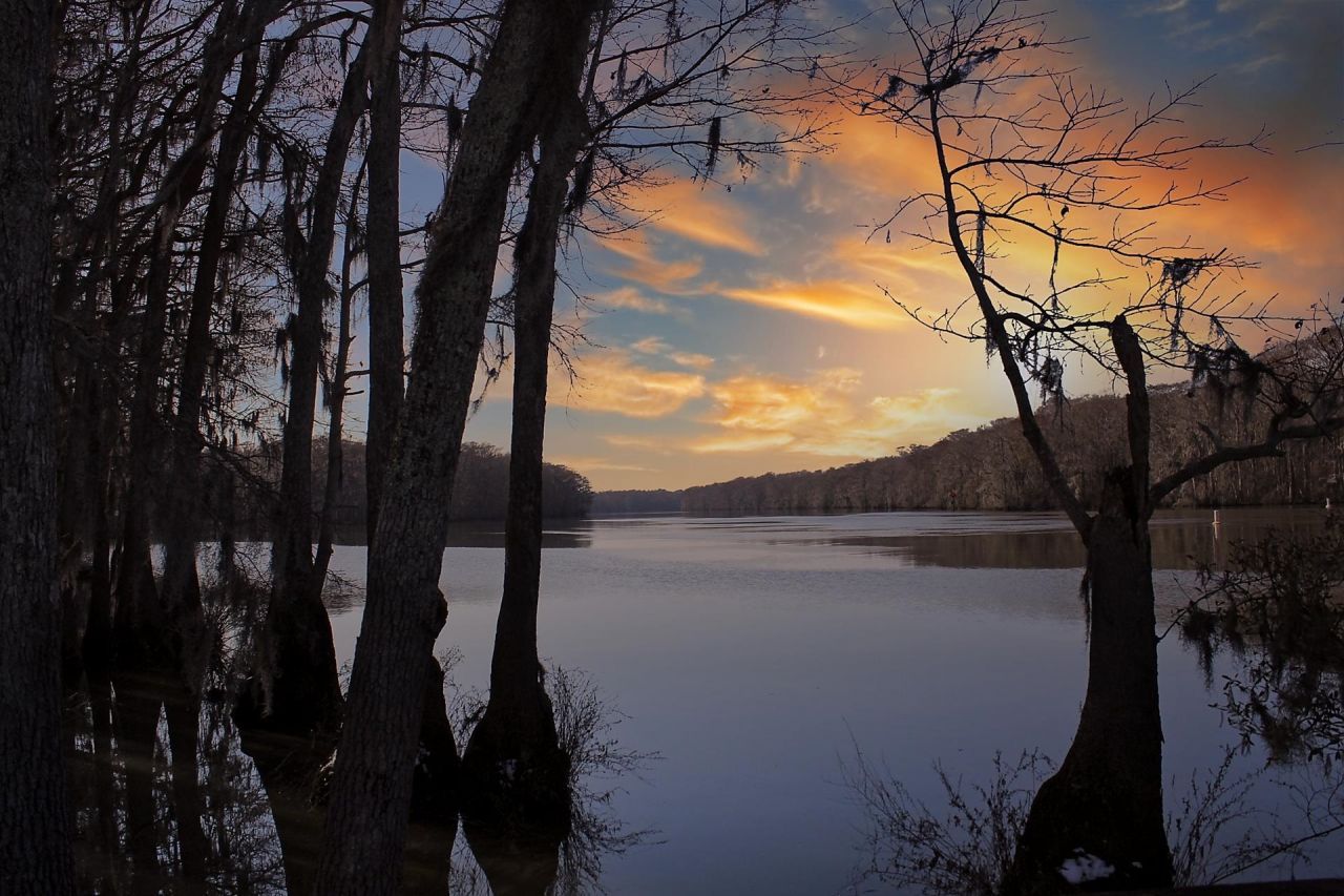 1950 Wachesaw Rd. Photo 19