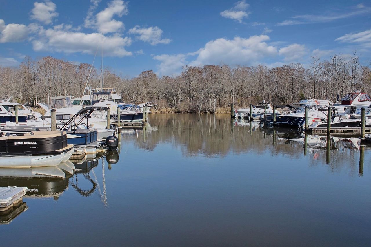 1950 Wachesaw Rd. Photo 4