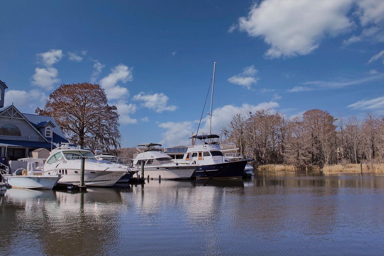 1950 Wachesaw Rd. Photo 7