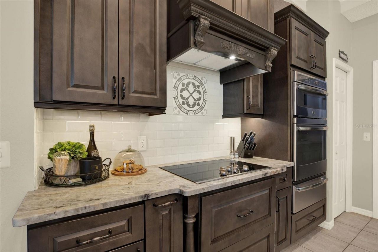 17217 Tiffany Shore Drive, Lutz, FL 33549 Photo