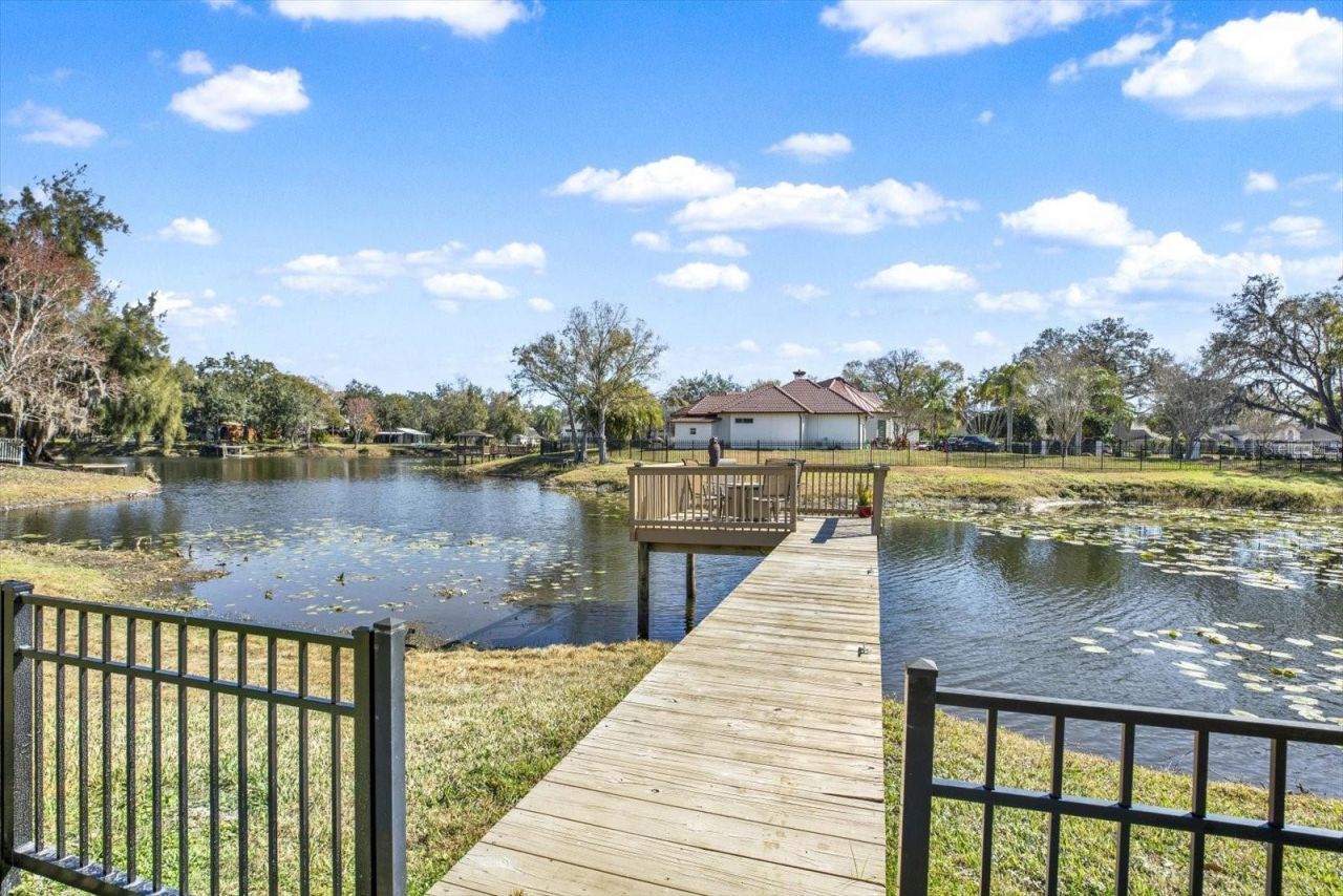 17217 Tiffany Shore Drive, Lutz, FL 33549 Photo