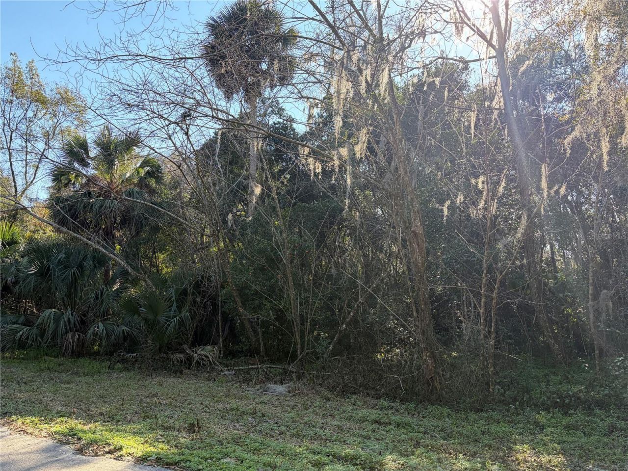 Lot 15 Quebec Avenue, De Leon Springs, FL 32130 Photo