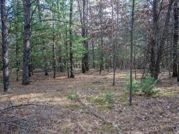 Lot 3 Meadow Drive, New Lisbon, WI 53950