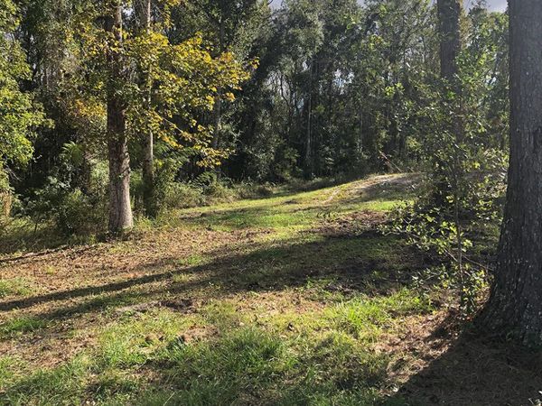 7322 E Max Fleming Road, Wewahitchka, FL 32465