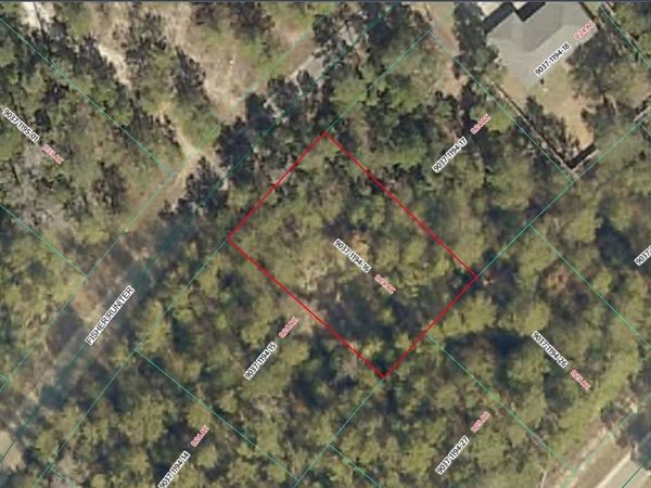 TBD SE FISHER RUN TERRACE, Unit LOT 16, OCALA, FL 34472